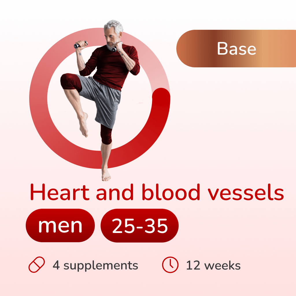 Heart and blood vessels base for men 25-35 years old