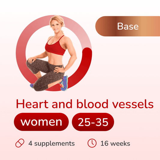 Heart and blood vessels base for women 25-35 years old