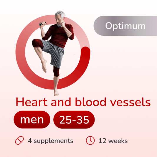 Heart and blood vessels optimum for men 25-35 years old