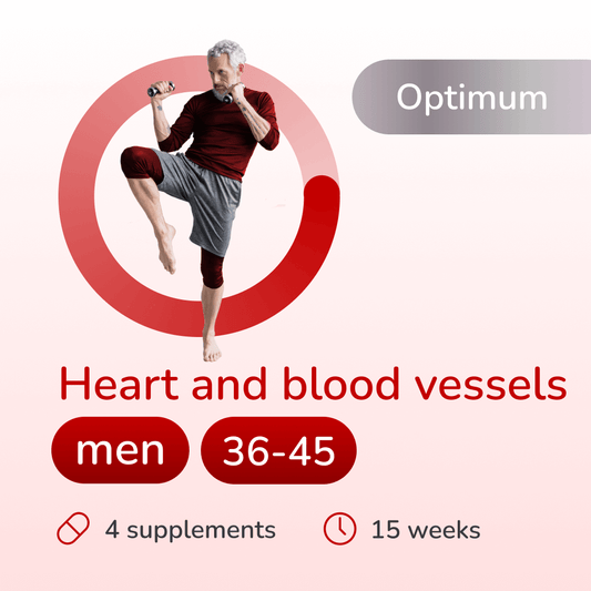 Heart and blood vessels optimum for men 36-45 years old