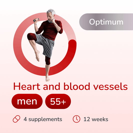 Heart and blood vessels optimum for men 55+ years old